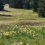 Appartement Chamrousse