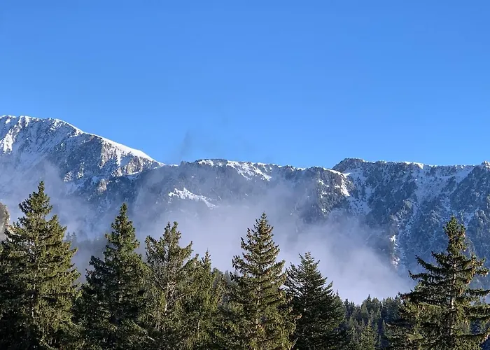 Appartement Chamrousse Chamrousse