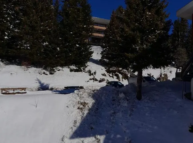 Lejlighed Appartement Chamrousse